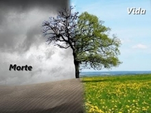Palavra de Vida ou palavra de Morte?