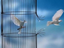 Liberto!